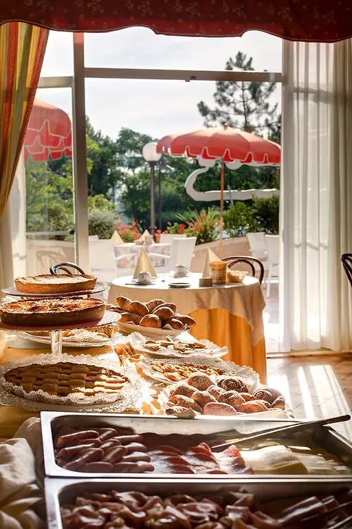 Hotel Internazionale تْشيزيناتيكو 4*,